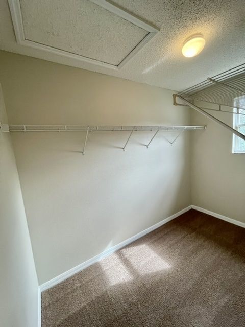 Winter Springs - 2 Bedroom, 2.5 Bathroom - $1,795.00 property image