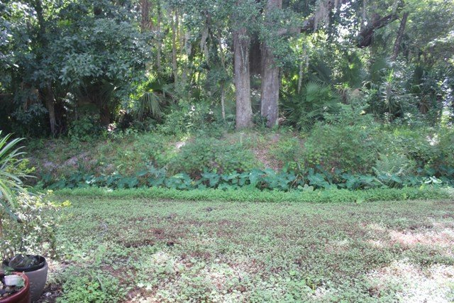 Longwood - 3 Bedroom, 2 Bathroom - $2,325.00 property image