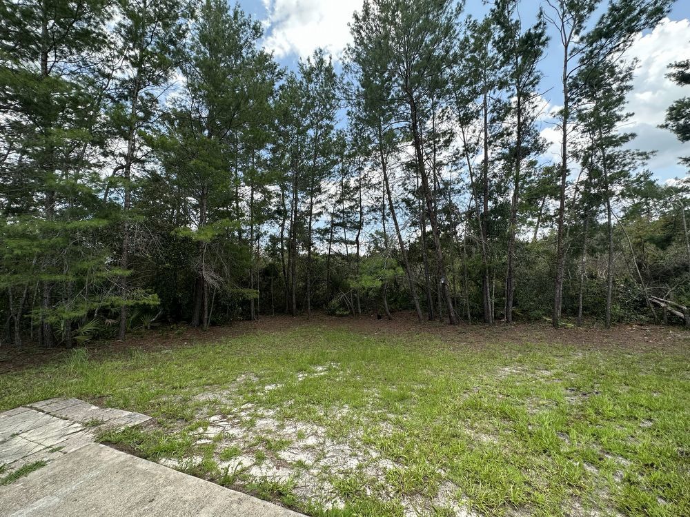 Deltona - 3 Bedroom, 2 Bathroom - $2195.00 property image